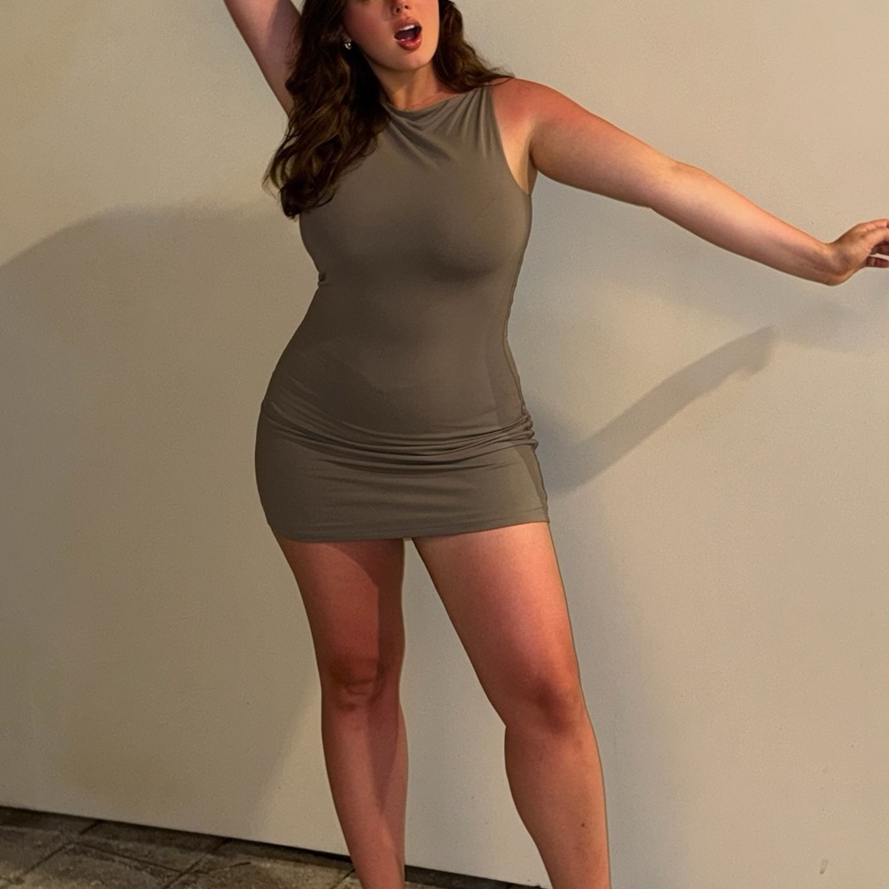 Aritzia Taupe Mini Dress